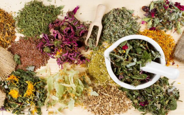 Each plant has its own contraindication list